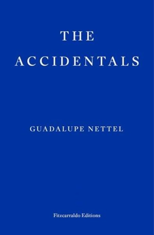 The Accidentals - Guadalupe Nettel