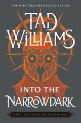 Into the Narrowdark - Tad Williams