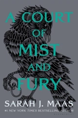 A Court of Mist and Fury - Sarah J. Maas