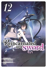 Reincarnated as a Sword (Light Novel) Vol. Vol. 12 - Tanaka, Yuu