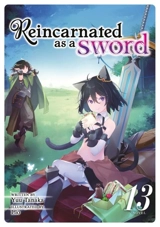 Reincarnated as a Sword (Light Novel) Vol. Vol. 13 - Tanaka, Yuu