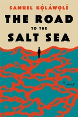 The Road to the Salt Sea - Kolawole Samuel Adeyemo