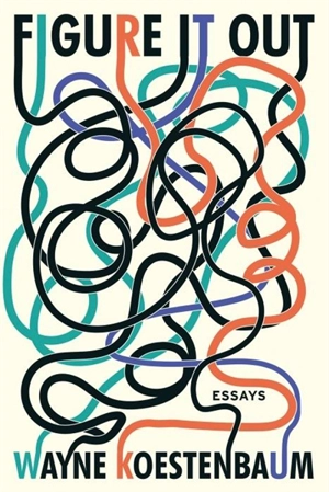 Figure It Out : Essays - Wayne Koestenbaum