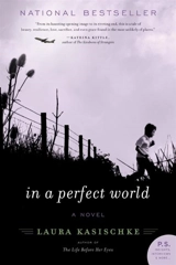 In a Perfect World - Laura Kasischke