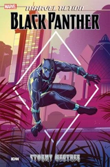 Marvel Action : Black Panther : Stormy Weather - Kyle Baker