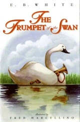 The Trumpet of the Swan - White, E.B.