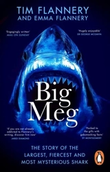 Big Meg - Tim Fridtjof Flannery