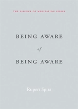 Being Aware of Being Aware Vol. 1 - Rupert Spira