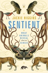 Sentient : A Journey Through the Sensory Worlds of Humans and other Animals - Jackie Higgins