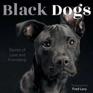 Black dogs - Fred Levy
