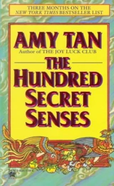 Hundred Secret Senses - Amy Tan