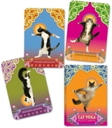 Cat Yoga Postcards - Tillotson, Rick