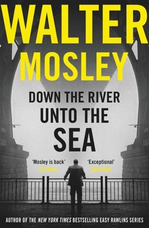 Down the River Unto the Sea - Walter Mosley