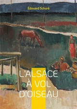 L'Alsace à vol d'oiseau : Voyage fascinant au coeur de l'identité alsacienne : histoire, traditions et paysages d'une région unique - Edouard Schuré