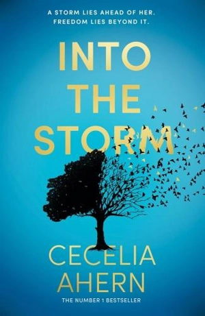 Into the Storm - Cecelia Ahern