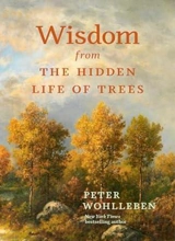 Wisdom From The Hidden Life Of Trees - Peter Wohlleben