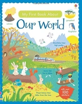 Our World : My First Books - Felicity Brooks