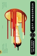 City of Saints and Madmen - Jeff VanderMeer