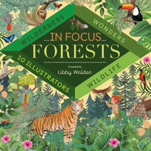 In Focus : Forest - Libby Walden