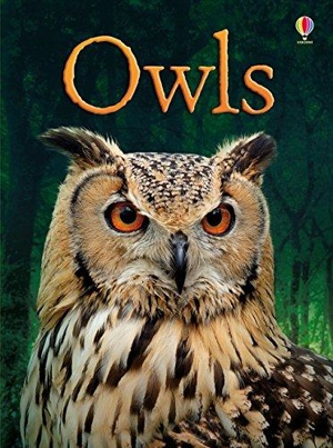 Owls - Emily Bone