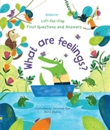 What Are Feelings ? : Lift-the-Flap First Questions & Answers - Katie Daynes