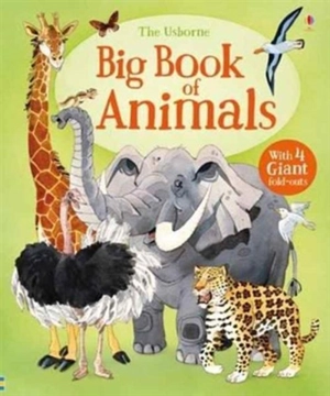Big Book of Animals : Big Books - Hazel Maskell