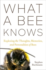 What a Bee Knows : Exploring the Thoughts, Memories, and Personalities of Bees - Buchmann, Stephen L.