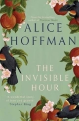 The Invisible Hour - Alice Hoffman