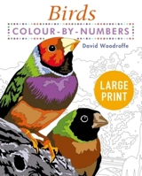 Large Print Colour By Numbers Birds - David Woodroffe