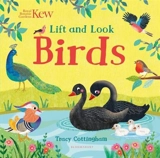 Lift and Look Birds - Tracy Cottingham