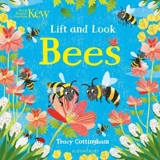Bees : Kew : Lift and Look - Tracy Cottingham