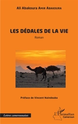 Les dédales de la vie - Ali Abakoura Amir Abakoura
