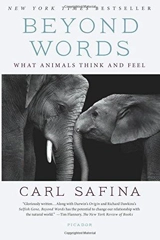 Beyond Words : What Animals Think and Feel - Carl Safina