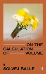 On the Calculation of Volume II Vol. 2 - Solvej Balle