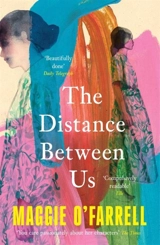 The Distance Between Us - Maggie O'Farrell