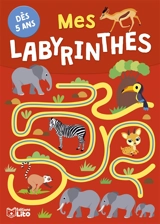 Mes labyrinthes : dès 5 ans - Rozenn Follio-Vrel