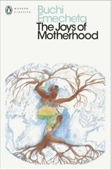 The Joys of Motherhood - Buchi Emecheta