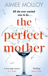 The Perfect Mother - Aimee Molloy
