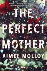 The Perfect Mother - Aimee Molloy