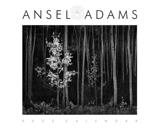 Ansel Adams 2023 : Wall Calendar - Ansel Adams