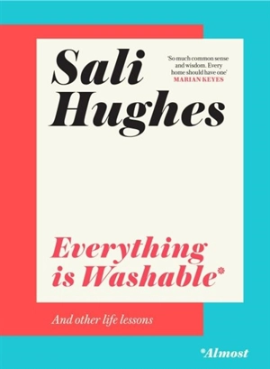Everything Is Wahsable* : And Other Life Lessons - Hughes, Sali