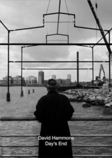 David Hammons - Adam D. Weinberg