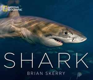 Shark - Brian Skerry