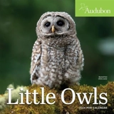 Little Owls 2024 : Audubon Mini Wall Calendar - Calendars, Workman