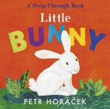 Little Bunny - Horácek, Petr