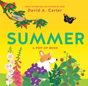 Summer : A Pop-Up Book - David Carter