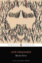 Martin Fierro (Spanish Edition) - Hernandez, Jose