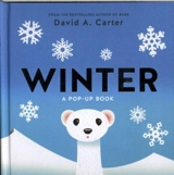 Winter : A Pop Up Book - David Carter