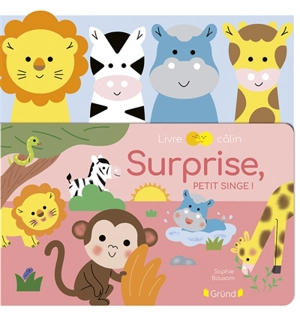 Surprise, petit singe ! - Sophie Bouxom