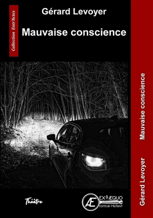 Mauvaise conscience : théâtre - Gérard Levoyer